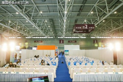 2021深圳电商展 引领数字化新潮流，彰显会展服务新高度